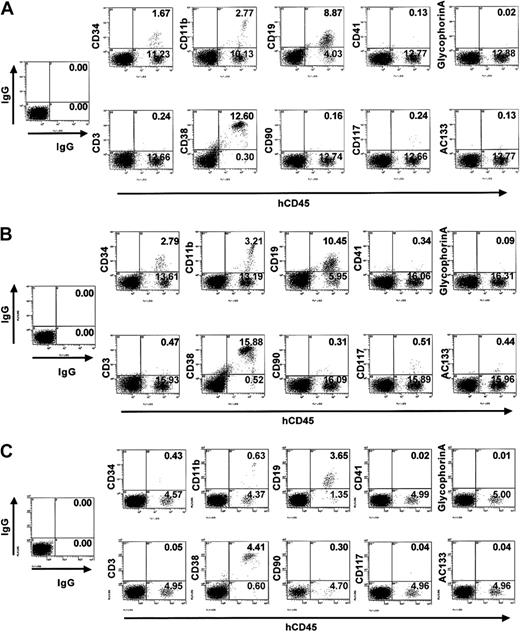 Fig. 10. Flow cytometric analysis of lineage markers on human hematopoietic cells engrafted in NOD/SCID mice. / For 4 weeks, CD34+ cells were expanded on primary stromal cells (A), expanded on hTERT-stromal cells (B), or not expanded (precocultured; C), followed by transplantation into NOD/SCID mice. Hematopoietic cells were immunolabeled with FITC-conjugated hCD45 antibody to ensure human origin and with PE-conjugated antibody specific for the indicated lineage marker. Data shown are from 1 experiment representative of 5 showing similar results.