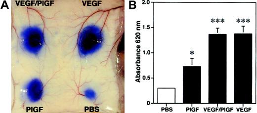 Fig. 7. Enhanced vascular leakage after intradermal injection of PlGF. / PlGF, VEGF/PlGF heterodimer, VEGF (100 ng), or phosphate-buffered saline (PBS) were injected intradermally into the skin of wild-type mice after intravenous injection of Evans blue. (A) PlGF induced vascular hyperpermeability, as demonstrated by extravasation of Evans blue. The effect of VEGF and VEGF/PlGF on vascular leakage was even more pronounced. (B) To quantify the plasma extravasation, Evans blue was extracted from the skin. PlGF injection increased the plasma extravasation by more than 2-fold, whereas a more than 4-fold increase was observed with VEGF and VEGF/PlGF heterodimer when compared with PBS controls. Data are expressed as means ± SDs (n = 5). *P < .05; ***P < .001.
