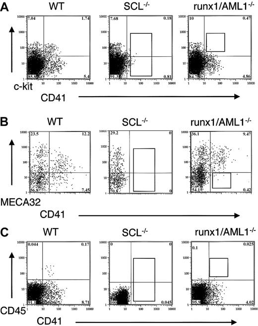 Fig. 1. Expression of CD41, c-kit, MECA32, and CD45 in transcription factor mutant EBs. / (A) D6 EBs from wild-type, SCL−/−, and runx1/AML1−/− ES cells were stained for the expression of CD41 and c-kit. In SCL−/− ES cells, no expression of CD41 can be detected, whereas in runx1/AML−/− EBs, the CD41+ c-kit+ population is absent. (B) D6.75 EBs were stained for CD41 and MECA 32. Wild-type EBs demonstrate intermediate/low expression of MECA32 in CD41+ cells, whereas CD41+ cells in runx1/AML1−/− EBs fail to down-regulate MECA32. (C) D6 EBs were stained for CD41 and CD45. Wild-type EBs show that CD45+ cells form a subpopulation within CD41+ cells. Runx1/AML1−/− EBs fail to express CD45.