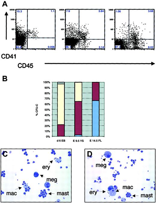 Fig. 5. Expression of CD41 and CD45 in hematopoietic progenitors during embryonic and fetal hematopoiesis in vitro and in vivo. / (A) FACS sorting of d6 EBs (left), E9.5 yolk sac (middle), and E14.5 fetal liver (right). (B) Percentage of definitive CFU-C in EB subpopulations expressing CD41 and/or CD45, yolk sac, and fetal liver (average of 3 independent experiments). Pale blue indicates CD45−CD41−; yellow, CD45−CD41+; dark red, CD45+CD41+; and medium blue, CD45+CD41−. (C-D) May-Grünwald-Giemsa staining of individual CFU-mix colonies from CD45−CD41+ (C) and CD45+CD41+ (D) subpopulations of E9.5 yolk sac. Arrows demonstrate the presence of definitive erythroid cells (ery), megakaryocytes (meg), macrophages (mac), and mast cells (mast) in individual colonies from both populations. Original magnifications C-D, × 200.