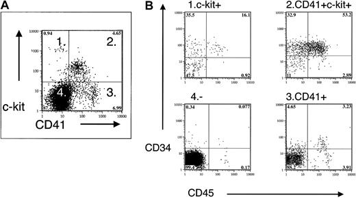 Fig. 6. Coexpression of CD41 and hematopoietic progenitor/stem cell markers in E9.5 yolk sac. / Fractionation of E9.5 yolk sac by CD41 and c-kit expression demonstrates enrichment of CD34 and CD45 expression in CD41+c-kit+ cells.