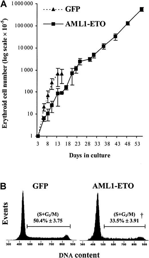 Fig. 3. Relative expansion and cell cycle analysis of AML1-ETO–transduced erythroid progenitors cultured in IL-3, IL-6, and SCF. / (A) Expansion of CD13− cells during the EPO-independent phase of growth (see “Materials and methods”). Data indicate mean ± 1 SD (n = 4; where n represents the number of independent experiments). Error bars represent 1 SD. (B) Representative histograms (from 1 of 3 experiments) showing cell cycle distribution of AML1-ETO–expressing cells and equivalent controls after 6 days of culture. The percentage of cells in S + G2/M is indicated ± 1 SD. Significant difference of AML1-ETO from control cultures (GFP alone) is indicated by the dagger (P < .01).