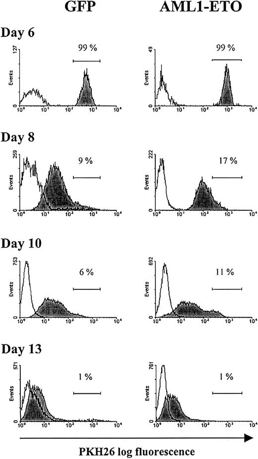 Fig. 5. Flow cytometric analysis of erythroid bulk culture cells tracked with PKH26. / Day 6 cultures were labeled with the fluorescent membrane dye PKH26 (see “Materials and methods”). GFP+CD13−cells from control and AML1-ETO–transduced cultures were analyzed for PKH26 fluorescence at the time points indicated. Histograms (representative from 1 of 3 experiments) show the fluorescence intensity of PKH26-labeled cells (filled histograms) and the fluorescence intensity of equivalent unlabeled cells (open histograms). Placement of the marker region for each culture was adjusted with reference to day 6 of culture (PKH26 labeling day 0).