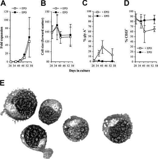 Fig. 9. Effect of EPO on differentiation of AML1-ETO–expressing cells cultured for 4 weeks in IL-3, IL-6, and SCF alone. / (A-D) Immunophenotypic profile of GFP+CD13−AML1-ETO–expressing cells labeled with antibodies to one other determinate as indicated. Data indicate mean ± 1 SD (n = 3). Error bars represent 1 SD. (E) Morphology of day 55 AML1-ETO–expressing cells cultured with EPO since day 29 (representative Wright-Giemsa staining of a cytocentrifuge preparation). Original magnification × 400.