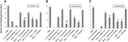Fig. 4. Effects of glycosylation inhibitors on human CLA+ T-cell rolling on E-, P-, and L-selectins. / To assess the effects of glycosylation inhibitors on the de novo synthesis of selectin ligands expressed by CLA+ T cells, cells were treated with neuraminidase to cleave all preformed selectin ligand on the cell surface. Cells were then recultured for 30 hours in PBS (diluent control), tunicamycin (0.02 mM), swainsonine (0.23 mM), 4-F-GlcNAc (0.05 mM), BAG (2.0 mM), and GlcNAc (5.0 mM; negative drug control). Cell rolling assessments were made at 2.0 dyne/cm2 from the midpoint of the chamber viewing field (4 fields per selectin spot; 3 different experiments). When compared with recovery in PBS, tunicamycin, 4-F-GlcNAc, and BAG significantly inhibited the re-expression of E- and P-selectin ligand activity (panels A and B), whereas 4-F-GlcNAc and BAG also inhibited L-selectin ligand activity (panel C) (*P < .01; Student ttest). Inhibition of P- and L-selectin–mediated T-cell rolling after bromelain treatment confirmed the role of PSGL-1 and revealed that a possible glycolipid component might be contributing to residual E-selectin ligand activity. # indicates that 0.02 mM tunicamycin inhibited protein synthesis and PSGL-1 expression as determined by flow cytometry and autoradiography.