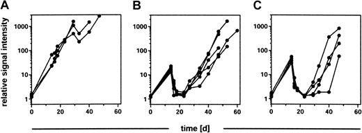 Fig. 4. Tumor regression in response to chemotherapy and irradiation therapy. / BALB/c mice were engrafted with 2 × 103BCL1-gfp/luc lymphoma cells, and tumor growth was quantified by BLI 14 days after tumor inoculation. Groups of animals received either (A) no further treatment (n = 3), (B) 2 × 40 mg/kg cyclophosphamide intraperitoneally within 24 hours (n = 5), or (C) total body irradiation with 8 Gy followed 24 hours later by a syngeneic bone marrow transplantation (n = 4). Tumor growth, regression, and relapse were determined by BLI 2 days and 4 days after treatment and in weekly intervals thereafter.