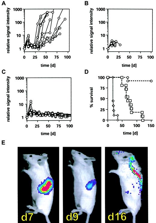 Fig. 5. Inhibition of tumor relapse by CIK cells after allogeneic bone marrow transplantation. / BALB/c mice (H-2d) received 2 × 103BCL1-gfp/luc lymphoma cells intravenously, and tumor engraftment was monitored and quantified by BLI on day 7 as described in “Materials and methods.” Following BLI, animals were lethally irradiated (8 Gy) and underwent transplantation within 24 hours with 5 × 106whole BM cells from C57BL/6 animals (H-2b). Treatment groups received either (A) BM alone (n = 11), (B) BM + 2.5 × 106 splenocytes (n = 9), or (C) BM + 2.5 × 106 CIK cells (n = 13). Tumor regression following irradiation was determined 2 or 3 days after irradiation, and animals were monitored by BLI for tumor relapse in weekly intervals thereafter (A-C). On the x-axes are days after tumor cell injection. The y-axes are relative light emission from individual animals over a 5-minute integration time. (D) Survival of animals from treatment groups A (■), B (▵), and C (○); on the x-axis are days after tumor cell injection. On the y-axis is the proportion of recipients surviving. (P < .0001 between all treatment groups.) (E) Tumor distribution pattern of one representative animal prior to irradiation (day 7), 2 days after irradiation (day 9), and 9 days after irradiation (day 16).