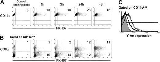 Fig. 1. Kinetics of apoptotic cell uptake by splenic DCs in vivo. / (A) A quantity of 2 × 107 PKH67-labeled BALB/c apoptotic splenocytes was injected intravenously into B10 mice. Internalization of apoptotic cells by DCs was analyzed by flow cytometry at different time points. (B) Splenic DC-enriched suspensions were labeled with phycoerythrin anti-CD11c and Cychrome anti-CD8α mAbs and analyzed by flow cytometry. (C) Expression of the IAb-IEα52-68 peptide detected with Y-Ae mAb on CD11c+ spleen (B10) DCs 24 hours (thick line) or 48 hours (thin line) after intravenous injection of (BALB/c) apoptotic splenocytes. As control, splenic DCs from animals injected with IEα− (B10) apoptotic leukocytes were included (gray histogram). Numbers on dot plots represent percentages of DCs that have internalized PKH67+ apoptotic cells. Data are representative of 4 independent experiments.