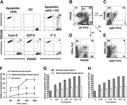 Fig. 4. Internalization of apoptotic cells by spleen DCs in vitro: role of serum factors. / (A) PKH67 immunobead-sorted splenic CD11c+ DCs (purity = 96%) were cocultured with PKH26 BALB/c apoptotic splenocytes under different conditions and results were analyzed by flow cytometry. After 2 hours of coculture 33% ± 14% (4 experiments) splenic DCs internalized/bound PKH26 apoptotic cells, a phenomenon blocked by cytochalasin D (Cyto D), EDTA, or at 4°C. (B-C) In 4 experiments, 31% ± 4% IAb+ splenic DCs associated with BALB/c (H2Dd+, PKH26+) apoptotic splenocytes (top right quadrant in panel B). Interestingly, a fraction of these were labeled by anti-H2Dd FITC mAb (top right quadrant in panel C). Because H2Dd is only expressed by the BALB/c apoptotic splenocytes and anti-H2Dd FITC cannot penetrate the DC membrane, this result demonstrates that some apoptotic cells are attached to the DC surface without being internalized. (D-E) The fact that PKH26+ apoptotic cells associated with CD8α− DCs were not reached by anti-H2Dd FITC suggests that they were internalized by DCs. By contrast, apoptotic cells associated with CD8α+ DCs were labeled by anti-H2Dd FITC mAb (E, top right quadrant), a fact that indicates that apoptotic cells were still attached to the DC surface instead of being internalized. Results in panels C to E were gated on IAb+ DCs of panel B (region 1 = R1 in panel B). Numbers inside quadrants indicate percentages of cells. Results are representative of 4 independent experiments. (F-H) Role of heat-labile serum factors in uptake of apoptotic cells by splenic DCs. (F-G) PKH26 splenic (B10) DCs were cocultured with PKH67 apoptotic (BALB/c) splenocytes under different conditions and uptake was assessed by 2-color flow cytometry. (H) Similar experiments were performed with in vitro–generated immunomagnetic bead-sorted immature (B10) BM DCs cocultured with apoptotic (BALB/c) cells. Uptake of apoptotic cells (percents) in the vertical axis of panels F to H represent the percentages of DCs that have captured apoptotic cells.