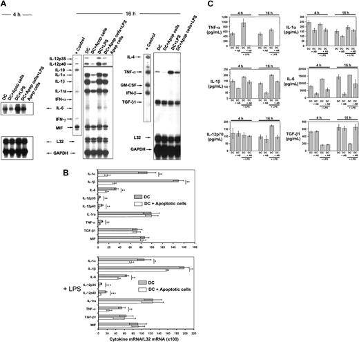 Fig. 6. Effect of apoptotic cells on DC cytokine gene transcription and secretion. / (A) Comparative RPA analysis of cytokine mRNA transcribed by DCs following phagocytosis of apoptotic splenocytes. mRNA was isolated from immunomagnetic bead-sorted BM DCs after coincubation with apoptotic cells for 4 or 16 hours, in the absence or presence of 200 μg/mL LPS. For most cytokines, the changes in mRNA levels were evident after 16 hours with the exception of IL-6. (B) Quantitative analysis of mRNA cytokine gene expression. Densitometry analysis of each lane was performed on scanned autoradiographs, and all values are expressed relative to corresponding housekeeping gene transcripts (L32). Densitometric values were pooled from 3 separate experiments; *P ≤ .05; **P ≤  .01; ***P ≤ .001. (C) Quantitation by ELISA of cytokines secreted by DCs after phagocytosis of apoptotic splenocytes in the presence or absence of 200 μg/mL LPS. Basal levels of TGF-β1 in the culture medium were deducted. Data are displayed as the means ± SDs of 3 different experiments.