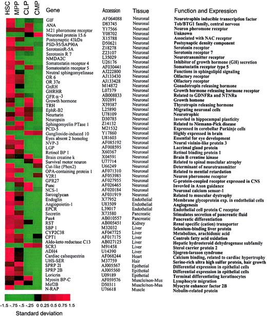 Fig. 2. Promiscuous gene expression of nonhematopoiesis-affiliated genes in HSCs. / (A). A list of nonhematopoiesis-affiliated genes predominantly expressed in HSCs. Note that the majority of genes that are predominantly expressed in HSCs show attenuated expression in the downstream progenitors. Genes listed in this figure have been confirmed by the hybridization result derived from CD45+ HSCs with expression levels of the majority of genes more than 200. A standardized (normalized) gene expression level is equal to (an expression level of a gene minus mean of the expression levels of this gene)/(the SD of the expression levels of this gene). All the gene expression levels are translated into these normalized values so that their means are all brought to 0 (allowing a comparison of gene expression on the same table). Therefore, the patterns of the genes are comparable on the basis of these normalized expression levels. In this image, the normalized expression levels of genes are presented according to a colored gradient scale from the highest (red) to the lowest (green; see colored scale). Importantly, the normalized expression level only reflects a relative score of the expression level of a gene, not the absolute expression levels of that gene. Therefore, “−1.5” may not indicate “no expression” but may only indicate a very low expression relative to the expressions of this gene under other conditions.