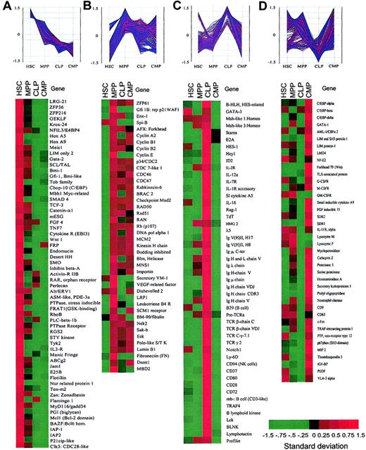 Fig. 4. Clusters of genes categorized by the expression patterns in purified stem and progenitor cells. / Spotfire software was used to visualize the changes in expression levels of each gene during hematopoietic development. The vertical axis represents the normalized gene expression values. (A) Representative genes that are predominantly expressed in HSCs and down-regulated in MPPs, CLPs, and CMPs. (B) Representative genes that were up-regulated in MPPs. (C) Representative genes that are highly expressed in CLPs. (D) Representative genes that are highly expressed in CMPs. See Figure 2 legend for explanation of color bar.