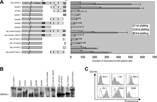 Fig. 4. CR2 and CR3 are consistently required for immortalization of myeloid progenitors by MLL-forkhead fusion proteins. / (A) Deletion mutants used for hematopoietic transformation assays are shown schematically on the left. Bar graph (right) indicates the number of colonies generated by the respective constructs in serial replating assays (means ± SDs, n = 3). (B) Western blot analysis demonstrating expression of MLL fusion constructs identified above the respective gel lanes. (C) Phenotypic analysis of cells transduced by MLL-FKHR. Gray histograms represent FACS staining obtained with antibodies specific for the indicated cell surface antigens. Black lines represent staining obtained with isotype control antibodies.