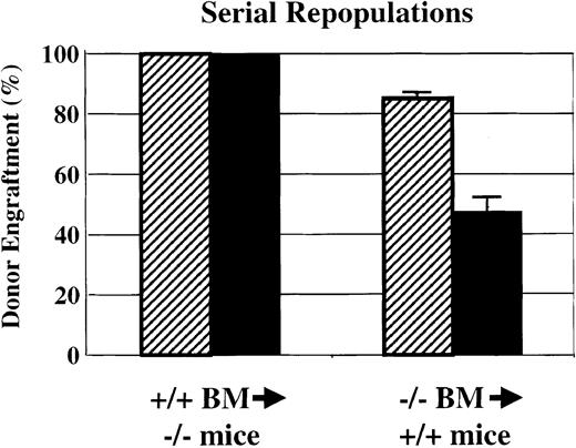 Fig. 3. Serial bone marrow transplantations. / Serial bone marrow transplantations demonstrate a significant defect in HSC competition and self-renewal bySca-1−/− mice. Sca-1+/+BM was able to completely repopulate Sca-1−/− mice in both primary and secondary recipients. However, when Sca-1−/− bone marrow was used to repopulate lethally irradiated Sca-1+/+ mice, endogenous Sca-1+/+ HSCs were able to compete against donor stem cells in the primary repopulations (▨). In secondary transplantations using bone marrow from primary recipients to repopulate lethally irradiated Sca-1+/+ mice (▪), the donor bone marrow could not rescue one-third of the recipients from irradiation-induced anemia. Of the remaining recipients, the Sca-1−/− bone marrow contributed approximately 45% to the recipient bone marrow 4 months following repopulation. Three of 9 secondary recipients died.
