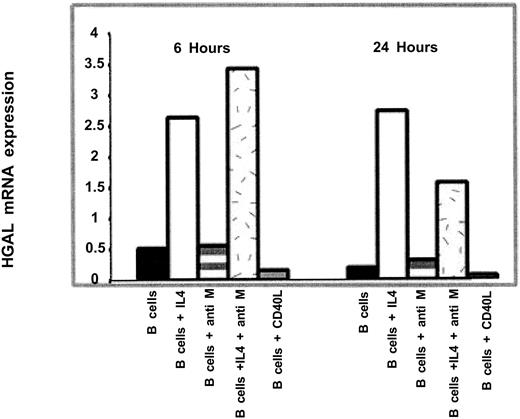 Fig. 5. HGAL mRNA expression is induced by IL-4. / Enriched peripheral blood B cells were untreated or stimulated with IL-4 (100 U/mL) or F(ab′)2 antihuman μ antibodies (0.5 μg/mL) separately or in combination with CD40L for 6 and 24 hours (see “Patients, materials, and methods” for a detailed description of the processes). Results from 1 experiment representative of 4 are shown. HGAL expression was calculated as described in the legend to Figure 4 and in “Patients, materials, and methods.”