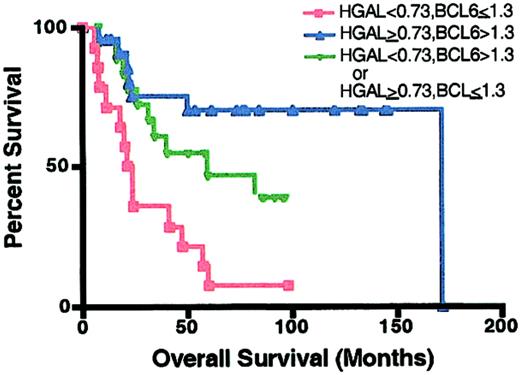 Fig. 7. Kaplan-Meier curves of OS in DLBCL patients based onBCL6 and HGAL expression. / HGAL 0.73 or higher and BCL6 greater than 1.3, n = 21 (▴); HGAL less than 0.73 and BCL6 no more than 1.3, n = 14 (■); HGAL 0.73 or higher andBCL6 no more than 1.3 or HGAL less than 0.73 andBCL6 greater than 1.3, n = 19 (▾).