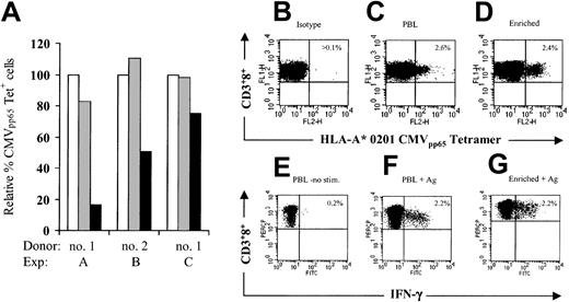 Fig. 6. Antigen-specific CD8+ T lymphocytes are maintained in cultures of anti-CD3– and anti-CD28–stimulated PBLs. / (A) Prevention of CMV-specific CD8+ T-cell loss by CD28 costimulation after 12 to 14 days of culture. PBLs (■) from CMV-seropositive donors were stimulated with anti-CD3 (▪) or both anti-CD3 and anti-CD28 (░), and frequency of HLA A* 0201 CMVpp65 tetramer+CD3+CD8+ cells was assessed as described in “Materials and methods.” Data are expressed as percentage of tetramer+ cells in CD3+CD8+ cells from fresh PBLs. Panels C-E indicate staining with HLA A* 0201 CMVpp65 tetramer-PE. Human PBLs (panel C) and LV'VFas+ T cells (panel D) grown with anti-CD3 and anti-CD28 were stained with PE-coupled HLA A* 0201 CMVpp65 tetramer, anti-CD3 and anti-CD8 mAbs, or isotype-matched control mAbs (panel B) and evaluated by flow cytometry. Values indicate the percentage of HLA-peptide tetramer+cells in CD3+CD8+ T cells. The results are representative of assays from 6 donors. Panels E-G indicate staining of cell-associated IFN-γ production after antigen stimulation. PBLs (panel F) and LV'VFas+ T cells (panel G) from the same donor were incubated for 6 hours with CMVpp65peptide-pulsed T2 cells or T2 cells alone (panel E) and stained with FITC-coupled anti–IFN-γ mAb, anti-CD3 mAb, and anti-CD8 mAb. Cells were gated to identify CD3+CD8+ T cells, and assessed for cytokine production. Values indicated the percentage of cells producing the relevant cytokine.