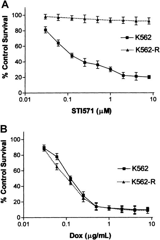 Fig. 1. Effect of STI571 and doxorubicin on K562 and K562-R cell growth and survival. / Sensitivity of K562 and K562-R cells to STI571 (A) was quantitated by MTT assay as described in “Materials and methods.” Cells (in 96-well plates) were incubated with the indicated concentration of STI571 for 24 hours before analysis by MTT assay. Longer incubation intervals increased STI571 cytotoxicity in K562 cells but did not affect K562-R responsiveness (data not shown). The results represent the average ± SEM of 4 determinations and are compared to control untreated cells (set at 100% survival). (B) Doxorubicin sensitivity was analyzed after 24 hours' incubation with the indicated concentration of drug. Cell survival was estimated by MTT assays as described above.