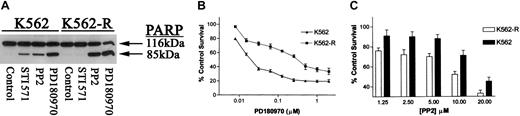Fig. 5. Effect of tyrosine kinase inhibitors on tyrosine phosphorylation, PARP cleavage, and survival of K562 and K562-R cells. / (A) K562 (left) and K562-R (right) cells were treated with 1 μM STI571, 10 μM PP2, or 1 μM PD180970 for 24 hours before PARP cleavage was monitored by immunoblotting. Intact and cleaved PARP are depicted. (B) K562 and K562-R cells were treated with PD180970 (at the concentration indicated) for 24 hours in a 96-well plate before survival was quantitated by MTT assay (described in “Materials and methods”) and compared to control (untreated) cells. Control cell survival was set at 100%. The results represent the average ± SEM of 4 determinations. (C) K562 and K562-R cells were incubated with the indicated concentration of PP2 for 48 hours in a 96-well plate before cell survival was estimated by MTT assay. Each data point represents the average ± SEM of 4 determinations. Untreated (control) cell survival was set at 100%.