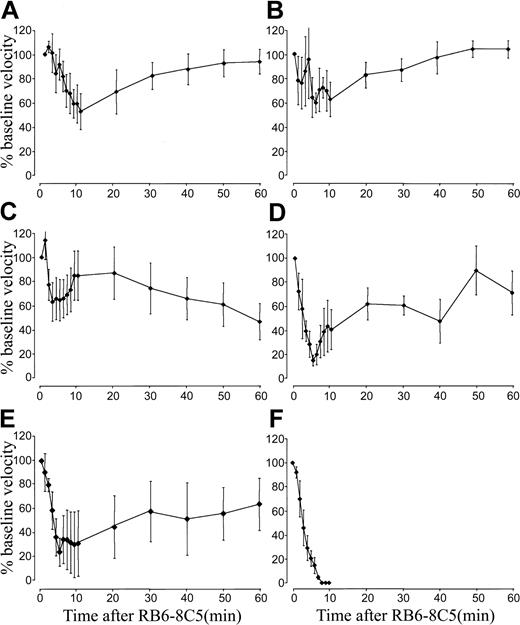 Fig. 3. Selectin deficiency protects mice from microvascular arrest induced by TNF-α and RB6-8C5. / (A-C) TNF-α/RB6-8C5–induced blood flow changes in P-selectin–deficient (A), E-selectin–deficient (B), and E-selectin/P-selectin double-deficient (C) mice. (D-F) TNF-α/RB6-8C5–induced changes in bone marrow transplantation experiments; wild-type mice given transplants of P-selectin–deficient bone marrow (D), P-selectin–deficient mice given transplants of wild-type bone marrow (E), wild-type mice given transplants of wild-type bone marrow (F). Data are shown as means ± SEMs of 1 to 3 vessels from 4 to 6 mice per group.