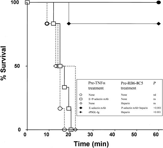 Fig. 4. Survival rates in differently treated mice. / All mice received 500 ng TNF-α at −4 hours and RB6-8C5 at 0 minute.P values represent difference from mice treated with TNF-α and RB6-8C5 alone; n = 6 mice per group. Further survival data are shown in Table 2.