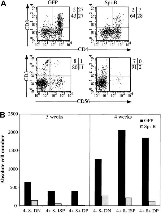 Fig. 4. Effect of Spi-B overexpression on T-cell development in an FTOC. / CD34+CD38− fetal liver cells were transduced with LZRS Spi-B-IRES-GFP or with control-IRES-GFP and incubated with murine fetal lobes as indicated in “Materials and methods.” The lobes were seeded with 20 000 progenitor cells per lobe. (A) Expression of CD4, CD8, CD3, and CD56 of the Spi-B– and control-transduced cells. The quadrants were placed to include 99% of the cells stained with control antibodies. (B) Number of output cells per 1000 input progenitor cells. The transduction efficiencies were determined 3 days after the transduction. Based on the percentages of GFP+ cells in the samples, the numbers of input progenitor cells were calculated. The output numbers of each population were calculated on the basis of the total numbers of cells harvested from the FTOC, the percentages of transduced cells, and the percentages of each population.