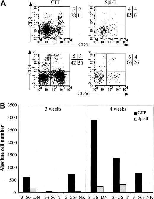 Fig. 5. Effect of Spi-B on development of NK cells in an FTOC with IL-15. / The conditions of the FTOC were the same as indicated in Figure 4except that IL-15, 10 ng/mL, was added to the FTOC. (A) The cell-surface antigen expression of the cells harvested from the FTOC. (B) The absolute numbers of output cells of each subpopulation per 1000 input progenitor cells calculated as indicated in Figure 4B.