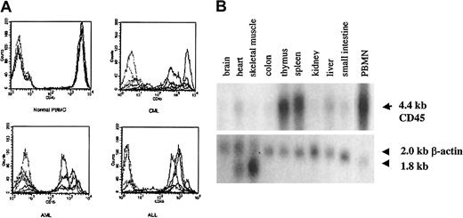 Fig. 2. CD45 is expressed on leukemic blasts and is hematopoiesis specific. / (A) FACS analysis showing surface CD45 expression in PBMCs from 5 healthy controls compared with 5 patients with CML and BMMCs from 5 patients with AML or ALL. Each sample was stained with isotype control (dotted lines) and anti-CD45 (solid lines) antibodies, and the corresponding histograms are shown. (B) Northern blot analysis of CD45 RNA expression in various tissues.