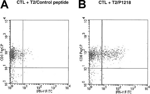 Fig. 5. Peptide specificity of CD45-specific CTLs is mediated by CD8+ cells. / CTL line 2 was stimulated for 6 hours in the presence of brefeldin A, and T2 cells were pulsed with (A) control HLA-A0201 binding peptide HBV core (18-27) or with (B) P1218. Intracytoplasmic flow cytometry was used to demonstrate expression of IFN-γ in response to P1218 in CD8+ cells but not CD4+ cells.