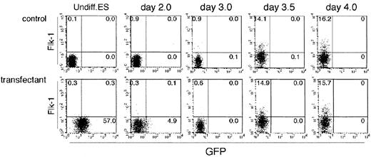 Fig. 2. Flow cytometric analysis of the differentiating ES cells. / Undifferentiated parental ES cells (top row) and ES cells transfected with GFP under the control of Flk-1 promoter/enhancer (bottom row) were cultured on type IV collagen–coated dishes in the absence of LIF and analyzed for the expression of Flk-1 and GFP for 4 days. The results shown are representative of 3 independent experiments.