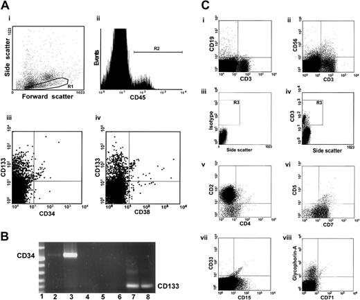 Fig. 5. Multilineage differentiation of human nonadherent CD34− cells in the bone marrow of NOD/SCID mice. / (A) Bone marrow cells from a mouse given 10 000 NA CD34−cells were incubated with antibodies to various human antigens and analyzed by flow cytometry. Cells with low, medium, and high forward scatter (Ai, region R1) were gated and further analyzed. Panel Aii shows a histogram of CD45 (panleukocyte marker) expression. Panels Aiii and Aiv show expression of CD133 and CD34 (hematopoietic stem cell markers) and CD38 (a differentiation marker) within the CD45+ cell population. Most cells had a primitive CD133+CD34−CD38− phenotype. (B) RT-PCR analysis of human CD133 and CD34 mRNA in bone marrow cells of NOD/SCID mice that received NA CD34− cells. Lane 1 contains DNA molecular-weight markers. We used human CD34-specific primers to generate cDNA from bone marrow cells of a representative mouse recipient (lane 2), from highly enriched human CD34+cells from mobilized peripheral blood (positive control; lane 3), and from bone marrow cells of a representative mouse that received an injection of only PBS (lane 4). Lane 5 contains a sample of distilled water that was used in RT-PCR. We used human CD133-specific primers to generate cDNA from bone marrow cells of a representative mouse that received an injection of only PBS (lane 6); from highly enriched, mobilized CD34+ cells from human peripheral blood (lane 7); and from bone marrow cells of a representative mouse recipient (lane 8). (C) The human cells were tested for expression of the lineage-specific markers CD19 (a human pan–B-cell marker; Ci), CD56 (an NK-cell marker; Cvi), and CD3 (a human pan–T-cell marker; Ci-ii,Civ). Subpopulations of human cells with T-cell phenotype were analyzed on the basis of expression of CD2, CD4, CD5, and CD7 (Cv-vi) on CD3+ cells within gate R3 (R1+R2; Civ), CD33 and CD15 (myeloid markers; Avii), and glycophorin-A (an erythroid cell marker; Cviii).