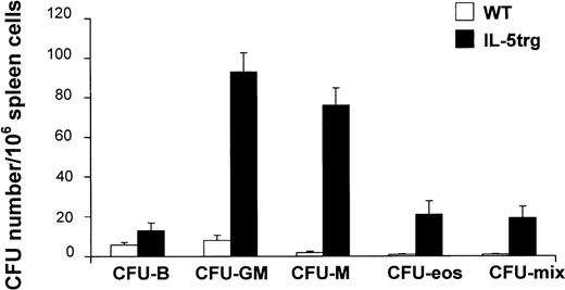 Fig. 3. Extramedullary development of hematopoietic progenitor cells in IL-5trg mice. / Spleen cells were harvested from IL-5trg and WT mice and plated into methylcellulose cultures in the presence of lineage-specific cytokines. GM-CSF or M-CSF was added to estimate numbers of granulocyte-macrophage– or macrophage-CFCs, and IL-5 (50 ng/mL) or IL-7 was added to estimate the numbers of eosinophil or B-lymphoid progenitors. Colonies were cultured in quadruples, calculated after 7 days of culture, and expressed as mean ± SD.