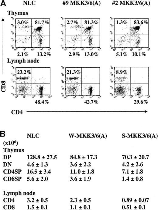 Fig. 3. Perturbed thymocyte population in mice with low p38 MAPK activity. / (Panel A) FACS profiles of thymocytes and para-aortic lymph node cells from 6-week-old NLC, line-9, and line-2 transgenic mice stained for CD4 and CD8. The percentage in each quadrant indicates the fraction of that thymocyte subpopulation. (Panel B) The average cell number and SD of thymocyte and lymph node cell subpopulations from each group of 6 independent mice. W-MKK3/6(A) indicates transgenic mice with moderate p38 inhibition (as in line 9). S-MKK3/6(A) indicates transgenic mice with profound p38 inhibition (as in line 2).