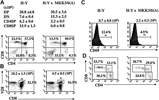 Fig. 6. Selection of class I–restricted transgenic TCR is decreased in MKK3(A)/MKK6(A) transgenic mice. / (Panel A) Thymocytes from H-Y TCR transgenic mice and H-Y × MKK3(A)/MKK6(A) transgenic mice were analyzed for CD4 and CD8 expression. The percentage represents the fraction of that subpopulation in a total thymocyte population. The average cell number and SD of each thymic subpopulation from 4 pairs of mice are indicated. (B) Thymocytes were also analyzed for expression of Vβ8 in the CD8+ fraction. The percentage of Vβ8+cells in CD8+ thymocytes and the average cell number (± SD) of CD8+Vβ8+ thymocytes from 4 pairs of mice are indicated. (C) CD69 expression in thymocytes from H-Y mice and H-Y × MKK3(A)/6(A) mice. The percentage and average cell number of CD69+ thymocytes are indicated. (D) The CD69+ thymocyte population was gated, and the fractions of CD4+CD8+, CD4+CD8−, and CD4−CD8+ were determined.
