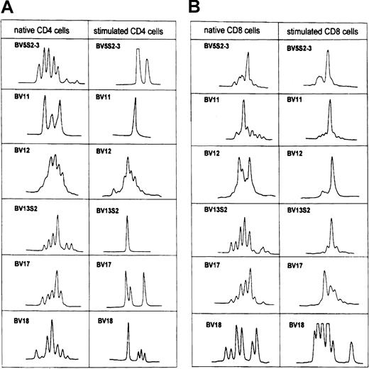 Fig. 4. TCR-BV CDR3 length pattern of native CD4 and CD8 T cells and after stimulation with the autologous leukemic B cells in patient CLL403. / See Figure 2B.