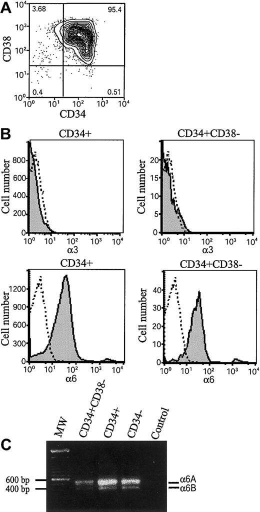 Fig. 1. Expression of integrin α6 chain and integrin α6A and α6B mRNA splice variants in bone marrow stem and progenitor cells. / (A) Fluorescence-activated cell-sorting (FACS) analysis after immunostaining with anti-CD38 and anti-CD34 antibodies of CD34+-enriched bone marrow cells. The vertical and horizontal bars were set on the basis of isotype-matched negative control profiles (99.3% of cells negative). The numbers indicate percentages of cells in each gated area. The purity of CD34+-enriched cells is more than 95%. (B) CD34+ cells and CD34+CD38− cells were gated, and expression of integrin α3 and integrin α6 was studied by antibodies (C3II.1 and GoH3) against integrin α3 (α3) and α6 (α6) (shaded histograms). Immunostaining with isotype-matched control antibodies is shown as open histograms. Shown is 1 representative of 2 experiments. (C) RT-PCR analysis for integrin α6A and α6B mRNA splice variants of bone marrow CD34+CD38− cells, CD34+ cells, and mononuclear CD34− cells. MW indicates molecular weight markers showing positions of 600 bp and 500 bp markers on the gel; Control, PCR reaction without cDNA. The approximately 550 and 420 bp fragments corresponding to integrin α6A and α6B splice variants were seen in all 3 cell populations.