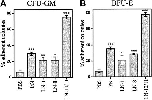 Fig. 4. Adhesion of clonogenic progenitor cells CFU-GM and BFU-E to laminins and fibronectin. / Bone marrow CD34+ cells were plated in 96-well plates coated with PBS, fibronectin (FN), laminin-1 (LN-1), laminin-8 (LN-8), or laminin-10/11 (LN-10/11). After incubation for 1 hour at a 37°C, 5% CO2, humidified environment, the nonadherent and adherent cells were collected separately and plated in methylcellulose progenitor assay. The percentages of adherent progenitors were calculated as follows: (no. of adherent CFCs/no. of adherent CFCs + no. of nonadherent CFCs) × 100. The total numbers of CFCs adherent to wells coated with PBS were 3672 ± 730, fibronectin 8664 ± 990, laminin-1 4690 ± 340, laminin-8 8408 ± 522, and laminin-10/11 22 553 ± 1635; the values are mean ± range of 2 measurements for laminin-8 and mean ± SD of 3 measurements for other proteins and PBS. Asterisks indicate a significant difference from the control value (percentage of adherent colonies in wells coated with PBS). *P < .05; **P < .01; ***P < .001.