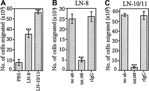 Fig. 5. Effects of laminin-8 and laminin-10/11 on SDF-1α–stimulated migration of bone marrow progenitor cells across Transwell inserts. / (A) Migration of CD34+ cells across Transwell inserts coated with PBS, laminin-8 (LN-8), or laminin-10/11 (LN-10/11). Shown are means ± SDs of 1 experiment representative of 2 experiments performed in triplicate. (B,C) Inhibition of migration of CD34+ cells across Transwell inserts coated with laminin-8 (B) and laminin-10/11 (C) by monoclonal antibody GoH3 against integrin α6 chain. Migration was studied in the absence of antibodies (no ab), in the presence of the GoH3 antibody against integrin α6 (int.α6), and in the presence of irrelevant rat monoclonal antibody (rIgG). Asterisks indicate a significant difference from the control value (migration across Transwell inserts coated with PBS in panel A; migration in the absence of antibodies in panels B and C). ***P < .001.