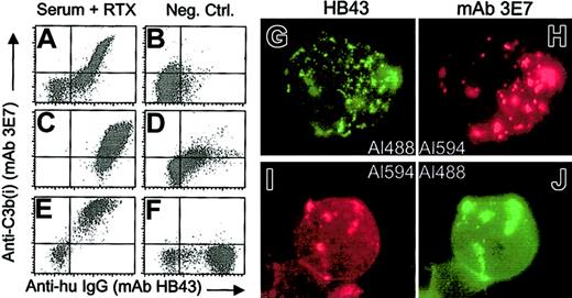 Fig. 10. Addition of RTX to washed blood cells from CLL patients, reconstituted in NHS, leads to deposition of C3b(i). / (A-F) The blood from 3 patients (panels A-B; C-D; E-F) was tested. Lymphocytes were identified based on PE CD45 and side scattering (panels A-B; E-F) or PE antihuman IgM and side scattering (panels C-D). The left panels (A,C,E) present the results of addition of RTX, followed by an incubation for 30 minutes (panels A,E) or 5 minutes (panel C) at 37°C. Samples were washed before probing. In panels B and D, RTX was omitted. In panel F, RTX was added to cells in serum-EDTA (to block C activation). (G-J) Samples from the third patient (panels E-F) were analyzed by fluorescence microscopy after probing with either Al488 HB43 and Al 594 mAb 3E7 (panels G-H) or Alexa 594 mAb HB43 and Alexa 488 mAb 3E7 (panels I-J). Both probing schemes reveal a substantial degree of colocalization of the probes. The Alexa 488 and Alexa 594 signals were visualized with the FITC and Texas Red filter, respectively. Original magnification × 100.