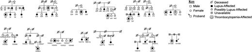 Fig. 1. The family structures of the African American families that were useful for linkage in which at least one patient with SLE had thrombocytopenia. / All patients with SLE are indicated (closed symbols) as are the SLE patients with thrombocytopenia (double symbol). / indicates separated; and //, divorced.