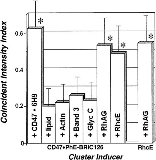 Fig. 3. Assessment of colocalization with induced clusters. / The coincident intensity index is the area of coincident intensity (shown in yellow in Figure 2) normalized by the area of noncoincident intensities (red + green). The average ± standard deviation for at least 15 cells is plotted for each inducer. The maximum apparent range of this index is established from double labeling of CD47 with the noncompeting antibody 6H9 and cluster-inducing PhE-BRIC-126. The minimum apparent range of this index is established from labeling CD47 with PhE-BRIC-126 together with the lipid bilayer. Cytoskeletal F-actin, Band 3, and glycophorin C do not appear to be colocalized with CD47. In comparison, both RhAG and RhcE appear to colocalize in these clusters with CD47. Additionally, RhAG is colocalized to clusters induced by polyclonal anti-Rh(c and E).