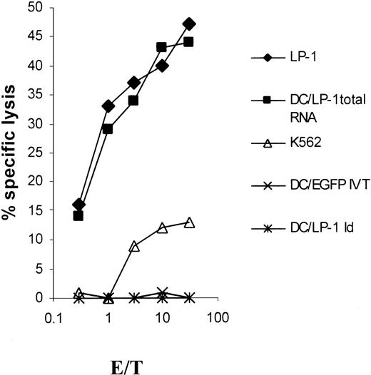 Fig. 4. Idiotype nonspecificity of LP-1–specific CTLs. / DCs were generated from adherent PBMNCs of an HLA-A3/24, B44/60, Cw3/5 buffy coat in RP-10 medium supplemented with GM-CSF and IL-4. On days 1 and 5, the isolated idiotype of the LP-1 cells was given to the culture at a final concentration of 50 μg/mL, before the addition of TNF-α on day 6. After a culture period of 7 days, the Id-pulsed DCs as well as LP-1 myeloma cells and natural killer (NK)–sensitive K562 cells were used as targets in a 51Cr-release assay. Autologous DCs were transfected with LP-1 total RNA or control RNA (EGFP IVT) on day 6 by electroporation and used on day 7 as additional control.