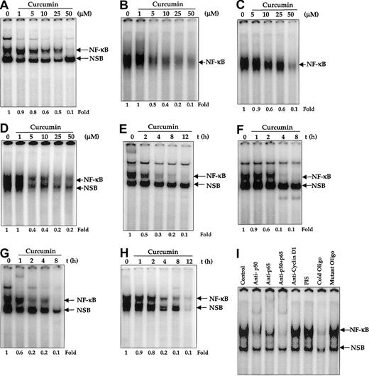 Fig. 1. Effect of curcumin on constitutive nuclear NF-κB in multiple myeloma cells. / Curcumin inhibits constitutive nuclear NF-κB in multiple myeloma cells. (A-D) Dose responses of NF-κB to curcumin treatment in U266 (panel A), MM.1 (panel B), MM1R (panel C), and RPMI 8226 (panel D) cells. First, 2 × 106 cells per milliliter were treated with the indicated concentration of curcumin for 4 hours and tested for nuclear NF-κB by EMSA as described. (E-I) The effect of exposure duration on curcumin-induced NF-κB suppression in U266 (panel E), MM.1 (panel F), MM.1R (panel G), and RPMI 8226 (panel H) cells. Cells were treated with curcumin (50 μM) for the indicated times and tested for nuclear NF-κB by EMSA as described. The binding of NF-κB to the DNA is specific and consists of p50 and p65 subunits (panel I). Nuclear extracts were prepared from U266 cells (2 × 106/mL), incubated for 30 minutes with different antibodies or unlabeled NF-κB oligonucleotide probe, and then assayed for NF-κB by EMSA.