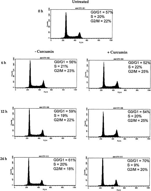 Fig. 8. Effect of curcumin on cells at G1/S phase of the cell cycle. / Curcumin arrests the cells at G1/S phase of the cell cycle. U266 cells (2 × 106/mL) were incubated in the absence or presence of curcumin (10 μM) for the indicated times. Thereafter, the cells were washed, fixed, stained with propidium iodide, and analyzed for DNA content by flow cytometry as described in “Materials and methods.”
