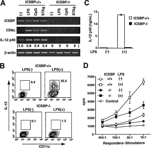 Fig. 2. Absence of IL-12 p40 and CD8α expression in ICSBP−/− DCs generated in vitro. / (A) DCs generated in vitro were stimulated with LPS (1 μg/mL), CpG (5 μg/mL), or STAg (2 μg/mL) for 24 hours for expression of ICSBP, CD8α, and IL-12 p40 transcripts by semiquantitative RT-PCR. mRNA levels were quantified by the NIH Image software and normalized to β-actin levels (numbers in parentheses). (B) Intracellular IL-12 protein expressed in indicated DCs was detected using APC-conjugated anti–IL-12 antibody. Cells were prestained with anti-CD11c antibody. The numbers indicate the percentages of IL-12+ cells. (C) Supernatants from DCs generated in vitro stimulated with LPS were tested for IL-12 p40 by ELISA. (D) Allo-MLR was performed with CD11c+ DCs as a stimulator and BALB/c spleen cells as a responder. Values represent 3H-TdR incorporation during the final 8 hours of reaction. Control (⋄) denotes MLR by ICSBP+/+ fresh BM mononuclear cells. Values are shown as means ± SDs.