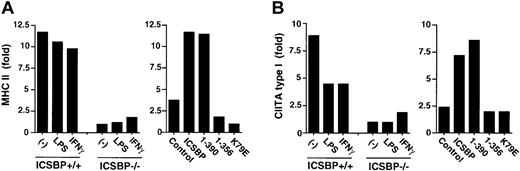 Fig. 6. Rescue of MHC class II expression by ICSBP retrovirus transduction. / (A) Expression of MHC class II mRNA in ICSBP+/+ or ICSBP−/− DCs (left graph) or ICSBP−/− DCs transduced with indicated vectors (right graph) was analyzed by real-time PCR. (B) Expression of promoter I–specific CIITA transcripts was analyzed by real-time PCR.