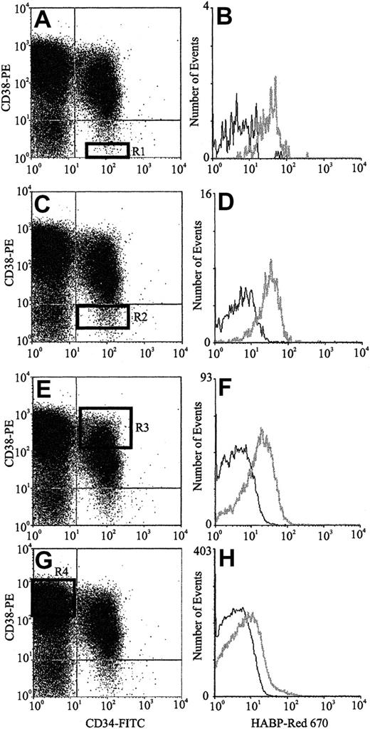 Fig. 3. HA expression on human CB progenitors. / Scatter properties of Lin− CB cells. (Panels A,C,E,G) CD34 and CD38 expression of maturing progenitors: R1 to R4, respectively (Panels B,D,F,H). HA expression on each progenitor subpopulation (gray line) as detected using HABP.