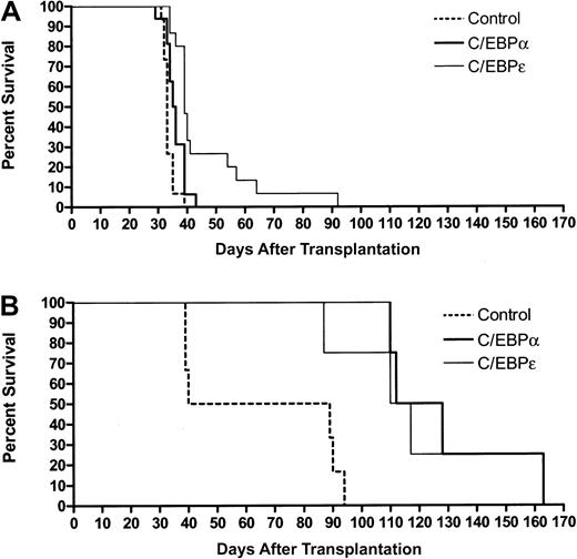 Fig. 4. C/EBPs suppress growth of murine myeloid leukemia in vivo. / Bone marrow and spleen cells of leukemic mice were harvested and transduced with retroviruses expressing MIG (control), hC/EBPα, or hC/EBPε. At 24 hours after the second round of infection, GFP+ cells were sorted and injected intravenously into sublethally irradiated (4.5 Gy) healthy FVB/N females. (A) PML-RARα leukemias no. 935 and no. 1111, with 25 000 to 50 000 cells per animal. Survival curves include combined data from 3 independent experiments. See data from individual experiments by clicking on the Supplemental Data Set link at the top of the online article on the Blood website. Control mice, n = 15; C/EBPα mice, n = 16; C/EBPε mice, n = 15. (B) PML-RARαm4 leukemia no. 4048.2, with 25 000 cells per animal. Control mice, n = 6; C/EBPα mice, n = 4; C/EBPε mice, n = 4.