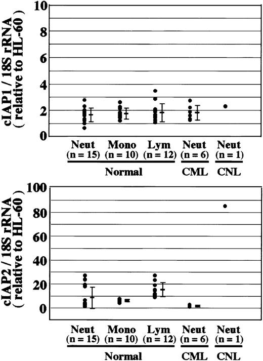 Fig. 9. Overexpression of cIAP2 mRNA in CNL neutrophils. / The expression of cIAP1 and cIAP2 mRNA in HL-60 cells, normal neutrophils (Neut), monocytes (Mono), lymphocytes (Lym), and CML and CNL neutrophils was analyzed by real-time PCR. As an internal control, 18S rRNA was used. The ratios of cIAP1 to 18S rRNA and cIAP2 to 18S rRNA were calculated for each cell type, and the data are expressed as the values relative to those of HL-60 cells for proper comparison. The experiments were performed on samples from individual donors, and the number of donors (n) is indicated. In this experiment, 15 healthy donors were used for the analysis of normal neutrophils.