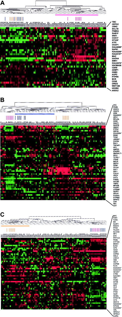 Fig. 3. A 2-dimensional hierarchical cluster analysis of experimental expression profiles and gene behavior of (A) vEDGs, (B) v1LDGs, and (C) v2LDGs. / Genes (HUGO-approved gene symbols, right side) are plotted along the vertical axis and experimental samples are plotted along the top horizontal axis by their similarity. A cluster-ordered data table was used to analyze 7 tonsil BC samples (red vertical bars), 7 tonsil PC samples (blue vertical bars), 7 bone marrow PC samples (yellow vertical bars), and 74 newly diagnosed MM cases. The nomenclature for the 74 MM samples is as indicated in Zhan et al.42 The normal cell-defined cluster for tonsil BCs (horizontal red bar), tonsil PCs (horizontal blue bar), and bone marrow PCs (horizontal yellow bar) are indicated. The clustering is presented graphically as a colored image. Along the vertical axis, the analyzed genes are arranged as ordered by the clustering algorithm. The genes with the most similar patterns of expression are adjacent to each other. Experimental samples are arranged the same way along the horizontal axis; those with the most similar patterns of expression across all genes are adjacent to each other. Sample groupings can be further described by following the solid lines (branches) that connect the individual components with the larger groups. The color of each cell in the tabular image represents the expression level of each gene, with red representing an expression greater than the mean, green representing an expression less than the mean, and the deeper color intensity representing a greater magnitude of deviation from the mean.